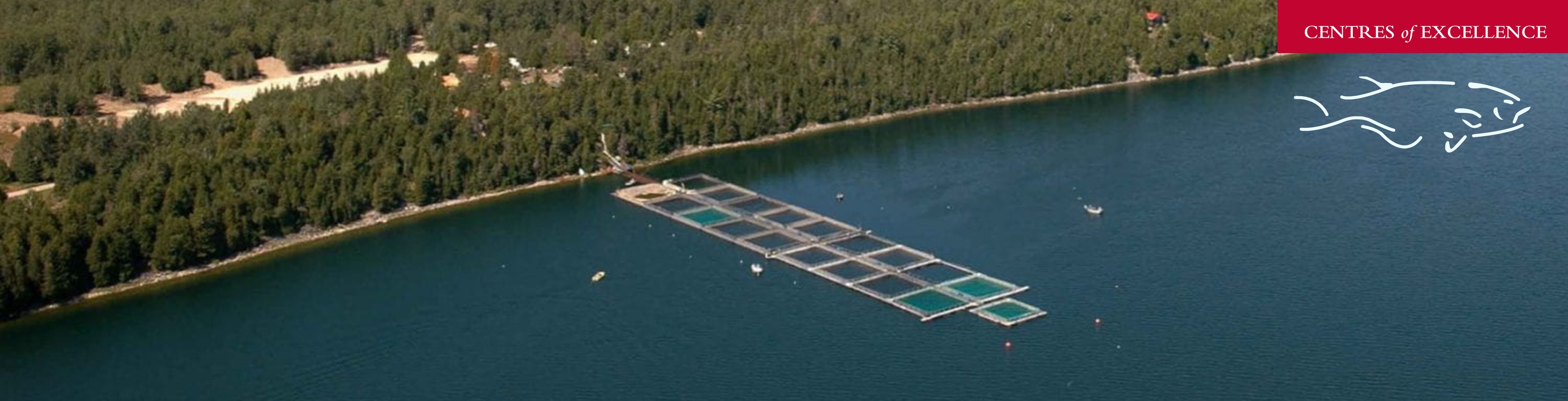 Centres of Excellence-Aquaculture Centre