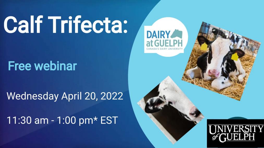 Calf Trifecta: Free Webinar